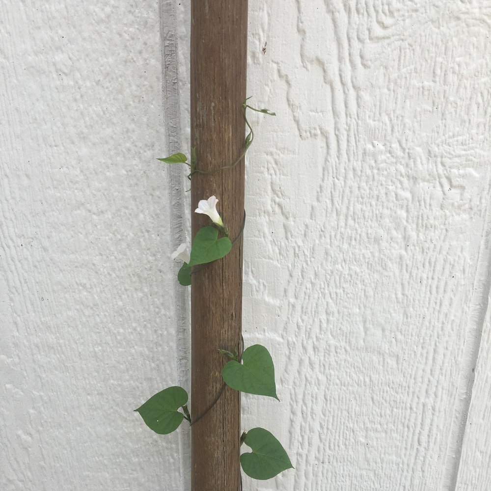 Meet your Posher, Judy